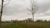 2013-02-09_12-48-45_432.jpg